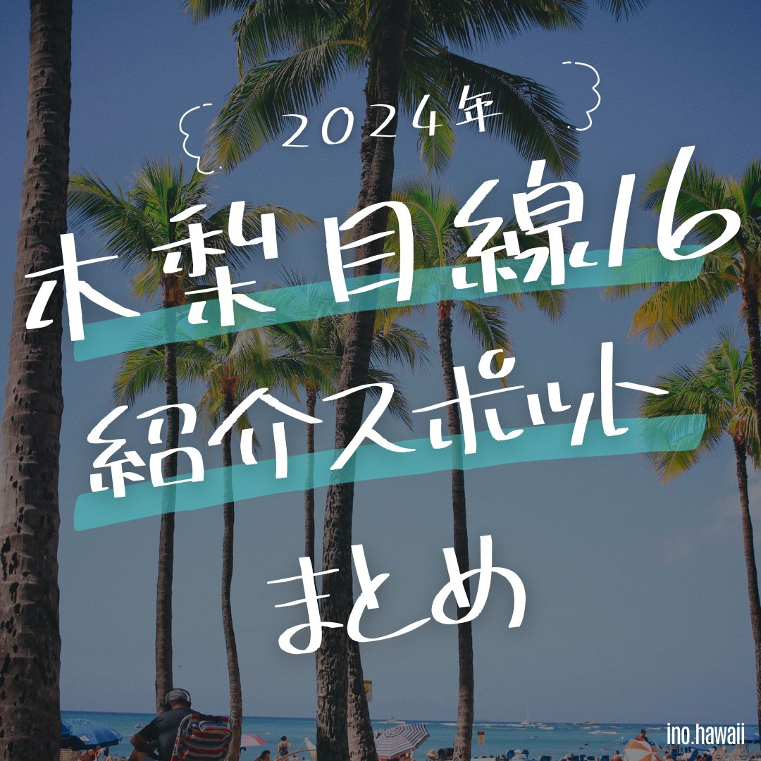 【木梨目線 16｜2024年】紹介されたお店と場所まとめ